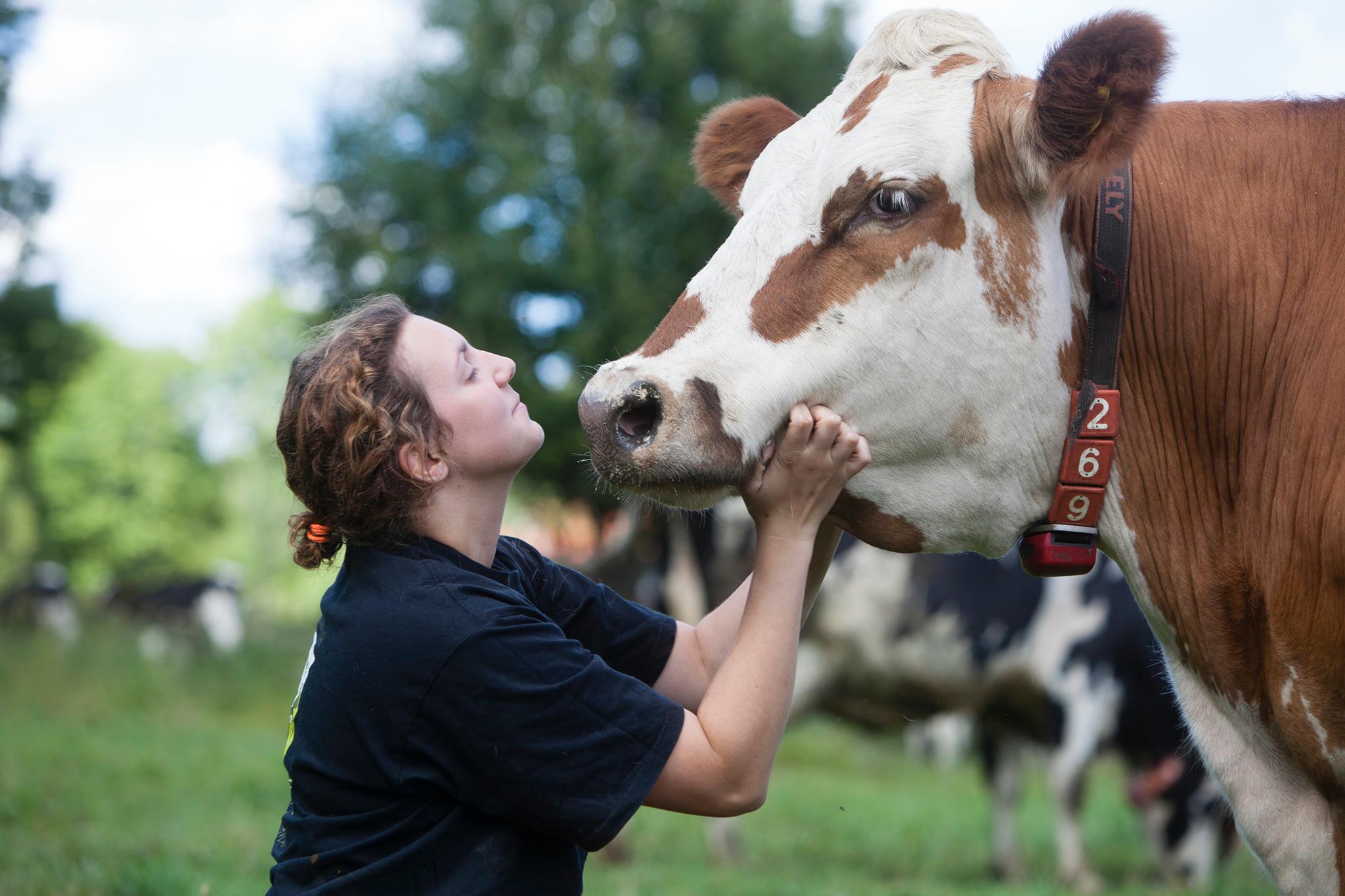 Sju Gårdar – ekologisk och klimatcertifierade mejeriprodukter